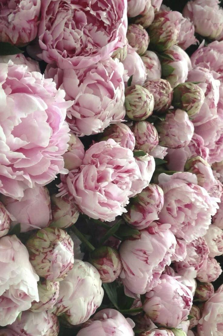 Corporate meeting room with carefully timed floral arrangements that maintain elegance throughout business hours